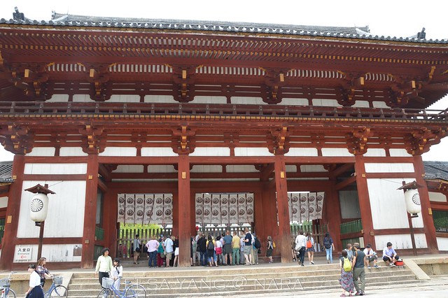 [奈良] 東大寺遊記。世界文化遺產|公車路線|公車時間|日本歷史 @ELSA菲常好攝
