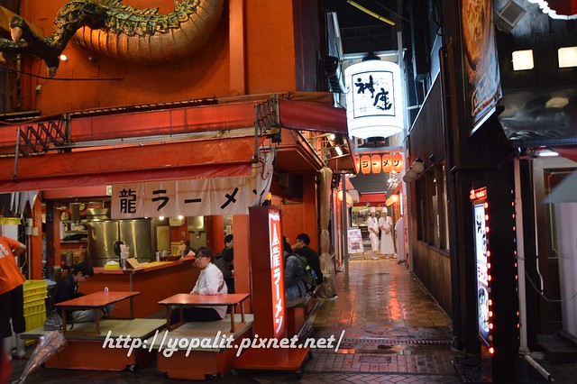 [食記] 大阪。道頓堀金龍拉麵美食介紹|大阪週遊卡|夜景|遊記 @ELSA菲常好攝