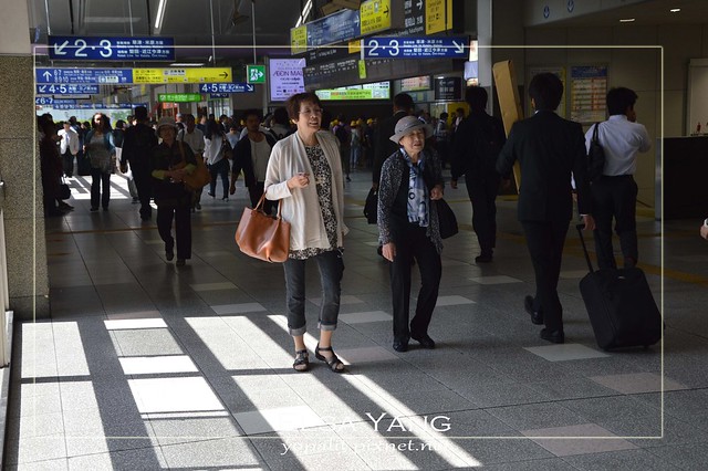 [交通] 京都車站到金閣寺|金閣寺門票|公車|路線|遊記|新大阪到京都 @ELSA菲常好攝