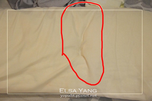 [開箱] 蝸牛孕婦枕頭、月亮枕、孕婦樂活枕使用七個月心得評價(媽媽抱枕、哺乳枕) @ELSA菲常好攝