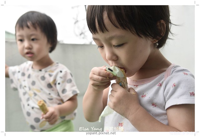 [團購美食] 青鳥旅行-法式千層牛奶派+肉鬆蛋捲|文青包裝的台灣零食 @ELSA菲常好攝