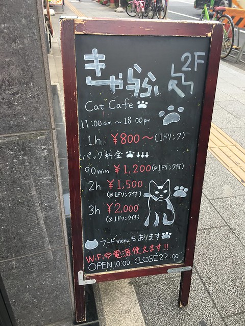 [美食] 東京淺草-Cat Cafe Calaugh貓咪咖啡廳｜附近景點今戶神社 @ELSA菲常好攝