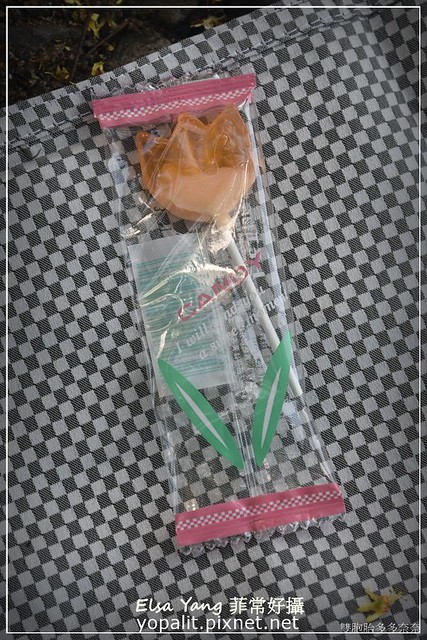 [日本零食開箱] 萬聖節koibox日本零食快遞｜戀之盒日本零食餅乾糖果整人糖零時差直送介紹分享 @ELSA菲常好攝