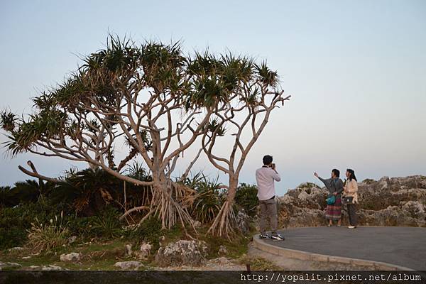 [遊記] 沖繩。萬座毛夕陽|交通|景點|路線（附近美食）沖繩料理 @ELSA菲常好攝