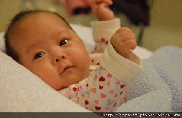[生產] 台大雙胞胎之安胎日記－妊娠高血壓、子癲前症|早產兒照顧 @ELSA菲常好攝