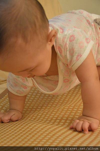 [開箱。體驗] 嬰兒涼蓆推薦-柔藤墊|推車汽座|床墊 @ELSA菲常好攝