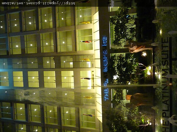 [Thai] 曼谷THE PLATINUM SUITE 白金酒店 @ELSA菲常好攝